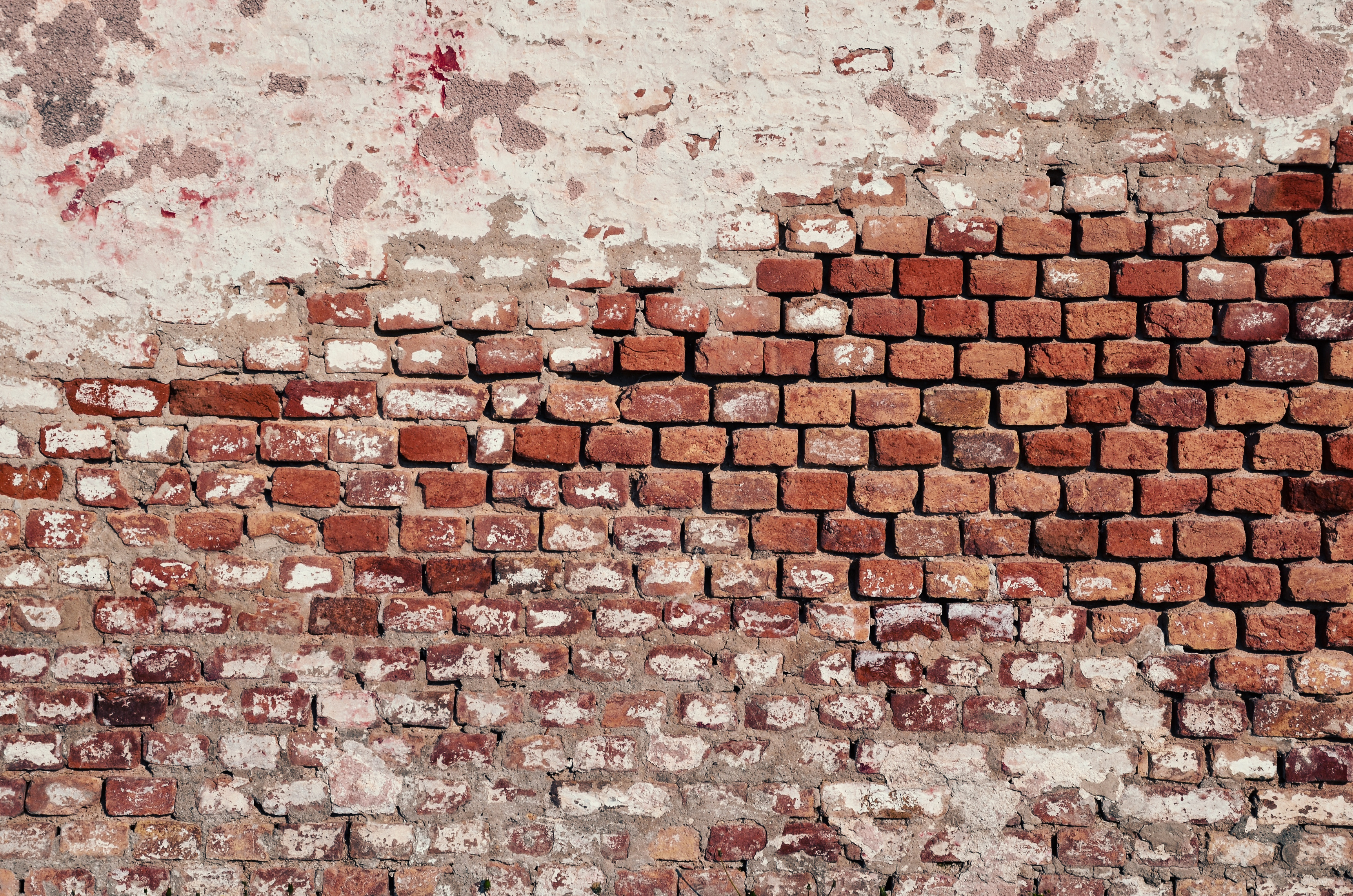 Brick Wall Background